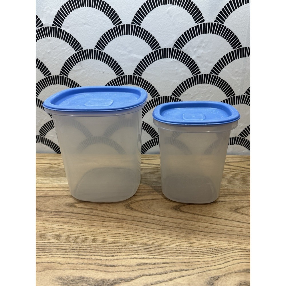 Rubbermaid Servin Saver #5 & 6 Food Storage Canister Container 6 Cup 12 Cup Blue